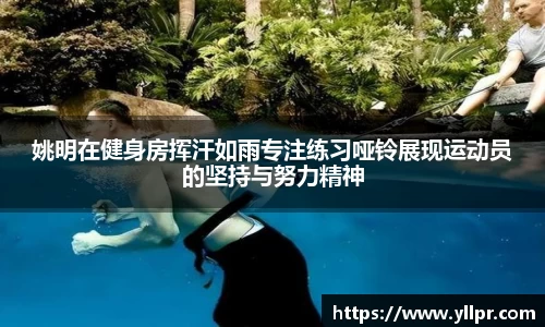 姚明在健身房挥汗如雨专注练习哑铃展现运动员的坚持与努力精神