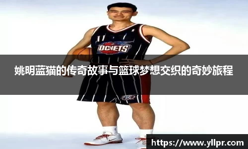 姚明蓝猫的传奇故事与篮球梦想交织的奇妙旅程